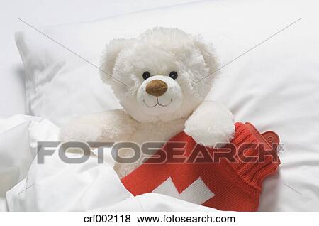 teddy bear hot water bottle