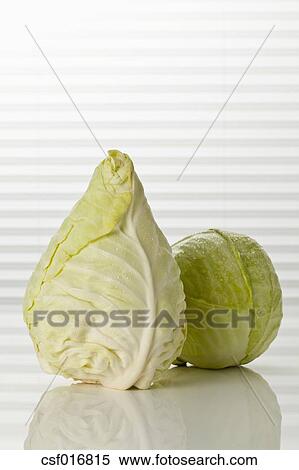 بارز أيضا الملفوف الأبيض رفع على مقربة معرض الصور الفوتوغرافية Csf016815 Fotosearch