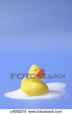 floating duck toy