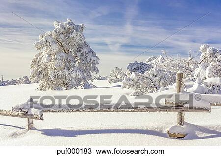 Puf Baden Baden Puf Baden Baden