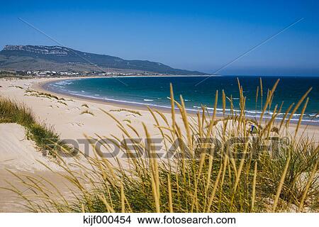 Espagne Andalousie Tarifa Bolonia Plage Image