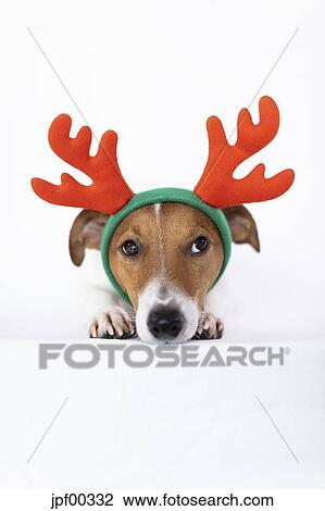 reindeer antlers headband for dogs