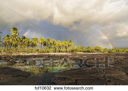 アメリカ ハワイ 大きいアイランド Pu Uhonua ｏ Honaunau の国立公園 溶岩 海岸 そして 虹 ストックイメージ Fof Fotosearch
