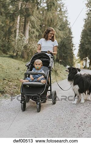 dog walking stroller