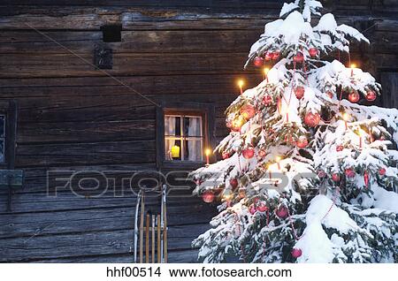 Immagini Natale Con Neve.Albero Natale Coperto Con Neve Primo Piano Immagine Hhf00514 Fotosearch