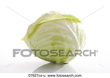 الصورة عن قرب بسبب الملفوف الأبيض معرض الفوتوغراف 07627cs U Fotosearch