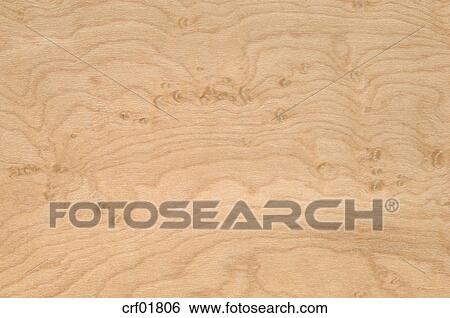 Wood Surface Birdseye Maple Wood Acer Saccharum Full Frame
