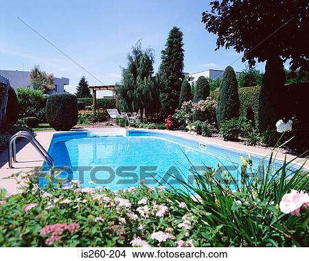 flowers, garden, plants, sky, suburb View Large Photo Image Picture - flowers, garden, plants, sky, suburb. Fotosearch