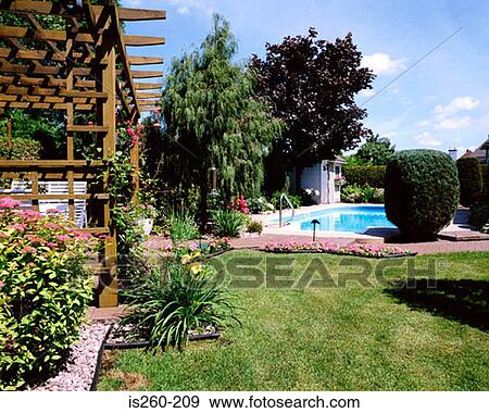 garden, grass, lawn, pergola, plants View Large Photo Image Stock Photo - garden, grass, lawn, pergola, plants. Fotosearch
