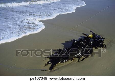 background, beach, coast, day, land, nature, outdoor View Large Photo Image Stock Photo - background, beach, coast, day, land, nature, outdoor. Fotosearch
