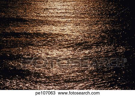 background, beauty, brown, dark, nature, outdoor View Large Photo Image Stock Image - background, beauty, brown, dark, nature, outdoor. Fotosearch