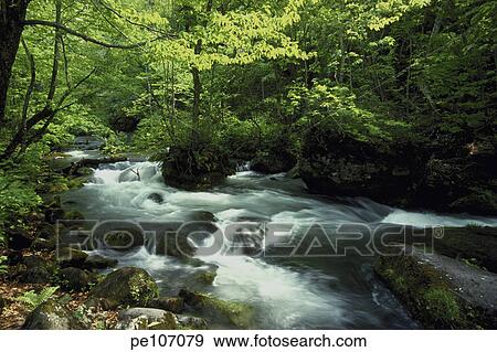 fall, landscape, nature, plant, rapid View Large Photo Image Stock Photo - fall, landscape, nature, plant, rapid. Fotosearch