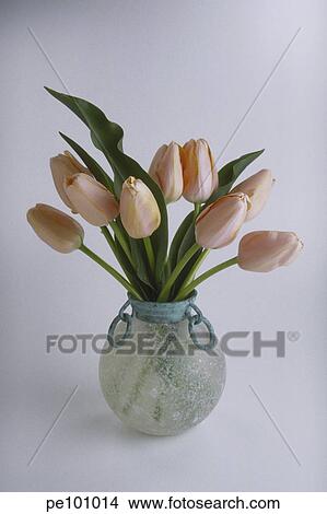 beauty, bowl, caring, flower, food, gift, glass View Large Photo Image Picture - beauty, bowl, caring, flower, food, gift, glass. Fotosearch