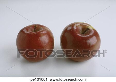fitness, apple, farm, equality, assorted, food, agriculture View Large Photo Image Stock Image - fitness, apple, farm, equality, assorted, food, agriculture. Fotosearch