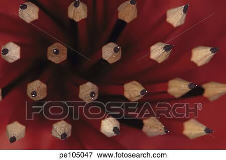 background, dark, equality, household, indoor View Large Photo Image Stock Photo - background, dark, equality, household, indoor. Fotosearch