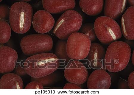 dark, background, China, brown, bean, equality, agriculture View Large Photo Image Stock Image - dark, background, China, brown, bean, equality, agriculture. Fotosearch
