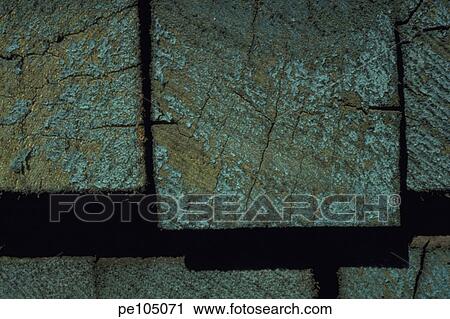 Stock Image - dark, outdoor, green, day, abstract. Fotosearch