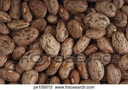 Stock Photography - equality, background, contrast, brown, bean, farm, agriculture. Fotosearch