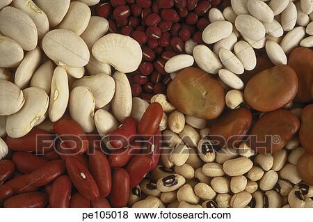 farm, assorted, brown, bean, background, food, agriculture View Large Photo Image Stock Photo - farm, assorted, brown, bean, background, food, agriculture. Fotosearch