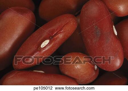 farm, background, equality, dark, bean, food, agriculture View Large Photo Image Stock Image - farm, background, equality, dark, bean, food, agriculture. Fotosearch