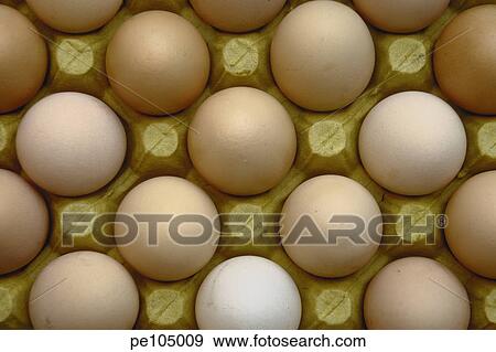 farm, background, equality, egg, carton, food, agriculture View Large Photo Image Stock Photo - farm, background, equality, egg, carton, food, agriculture. Fotosearch