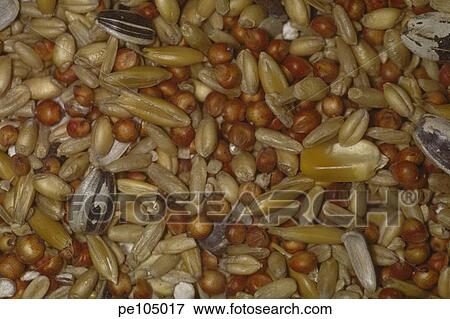 food, background, farm, contrast, brown, health, agriculture View Large Photo Image Stock Photo - food, background, farm, contrast, brown, health, agriculture. Fotosearch
