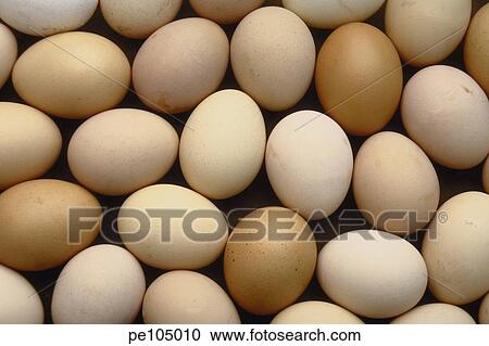 food, background, farm, equality, egg, health, agriculture View Large Photo Image Stock Image - food, background, farm, equality, egg, health, agriculture. Fotosearch