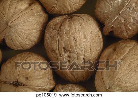 food, background, farm, equality, contrast, health, agriculture View Large Photo Image Stock Photo - food, background, farm, equality, contrast, health, agriculture. Fotosearch