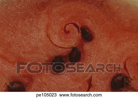 fruit, agriculture, food, farm, background, health, abstract View Large Photo Image Stock Image - fruit, agriculture, food, farm, background, health, abstract. Fotosearch
