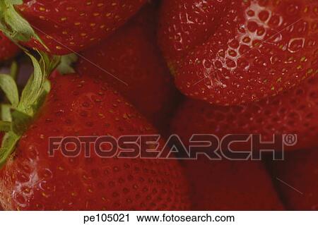 Stock Image - fruit, background, food, farm, equality, health, agriculture. Fotosearch