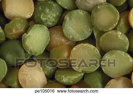 green, background, food, farm, contrast, health, agriculture View Large Photo Image Stock Photograph - green, background, food, farm, contrast, health, agriculture. Fotosearch