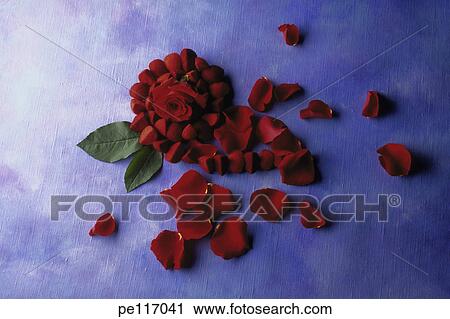 Stock Image - art, flower, blue, assorted, arrangement. Fotosearch