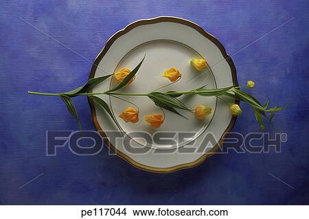 Picture - art, food, flower, blue, arrangement. Fotosearch