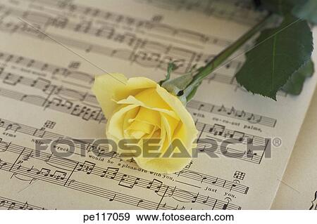 flower, paper, music, leaf, arrangement View Large Photo Image Stock Photo - flower, paper, music, leaf, arrangement. Fotosearch