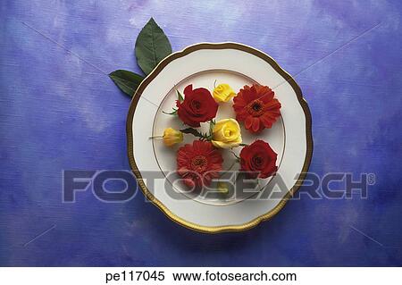 Stock Photography - food, art, flower, bud, blue, arrangement. Fotosearch
