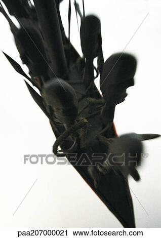 Wooden artifact, close-up. View Large Photo Image Stock Image - Wooden artifact, close-up.. Fotosearch