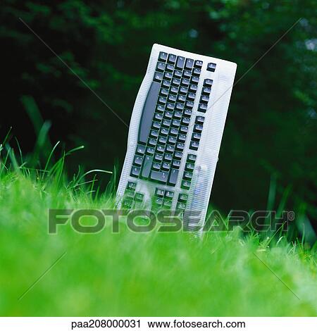 Computer keyboard sticking out of grass. View Large Photo Image Stock Image - Computer keyboard sticking out of grass.. Fotosearch