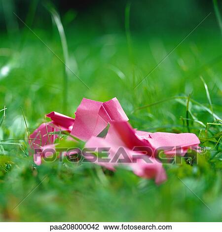Crumpled paper in grass. View Large Photo Image Stock Image - Crumpled paper in grass.. Fotosearch