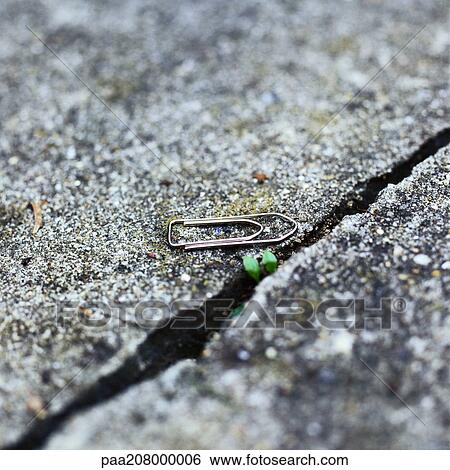 Paper clip on ground near crack View Large Photo Image Stock Photograph - Paper clip on ground near crack. Fotosearch