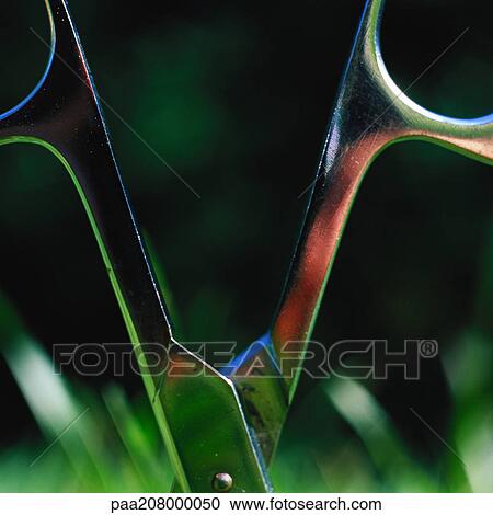 Scissors sticking in grass, close-up. View Large Photo Image Stock Image - Scissors sticking in grass, close-up.. Fotosearch