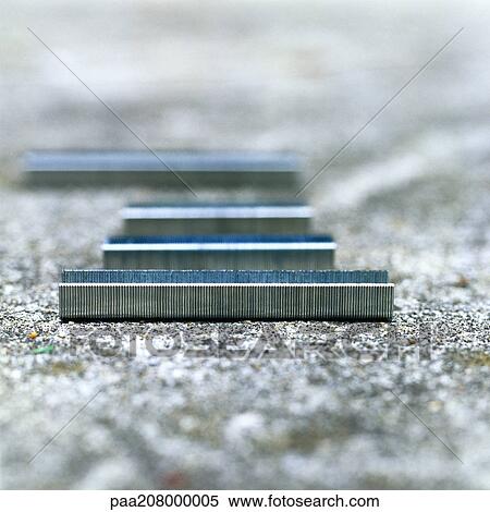 Staples on ground. View Large Photo Image Stock Photography - Staples on ground.. Fotosearch