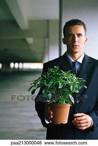 Businessman holding potted plant, looking at camera View Large Photo Image Stock Photo - Businessman holding potted plant, looking at camera. Fotosearch
