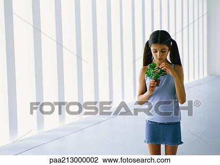 Girl holding potted plant View Large Photo Image Stock Image - Girl holding potted plant. Fotosearch