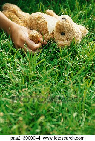 Hand holding teddy bear in grass View Large Photo Image Picture - Hand holding teddy bear in grass. Fotosearch
