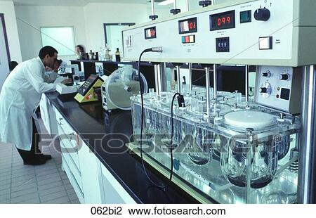 Laboratory Technician Looking at Microscope Egypt View Large Photo Image Stock Image - Laboratory Technician Looking at Microscope Egypt. Fotosearch