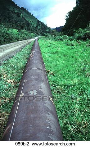 View of Oil Pipe Running through Grass Ecuador View Large Photo Image Stock Image - View of Oil Pipe Running through Grass Ecuador. Fotosearch