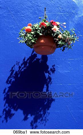 Stock Image - Hanging Basket of Flowers on a Blue Background. Fotosearch
