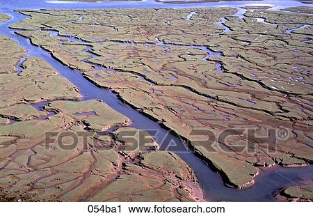 Mud Flats in an Estuary View Large Photo Image Stock Image - Mud Flats in an Estuary. Fotosearch
