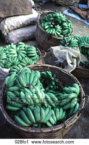 Baskets of Green Bananas View Large Photo Image Stock Image - Baskets of Green Bananas. Fotosearch