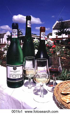 Display of Bottles and Glasses of Wine View Large Photo Image Stock Image - Display of Bottles and Glasses of Wine. Fotosearch